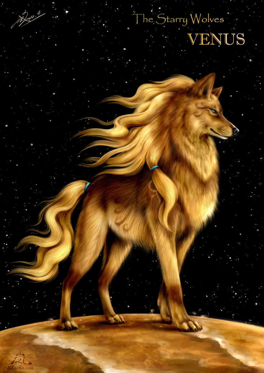 The Starry Wolves Venus By N Z Fur Affinity Dot Net