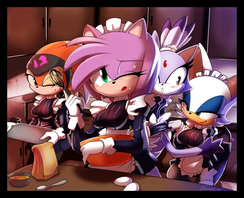 Shade, Amy, Blaze and Rouge. 