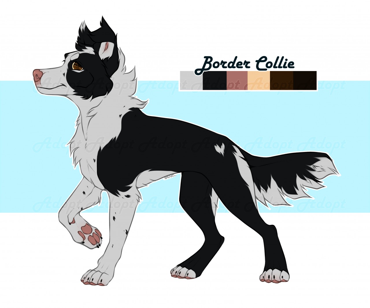 Cuanto vale un border collie