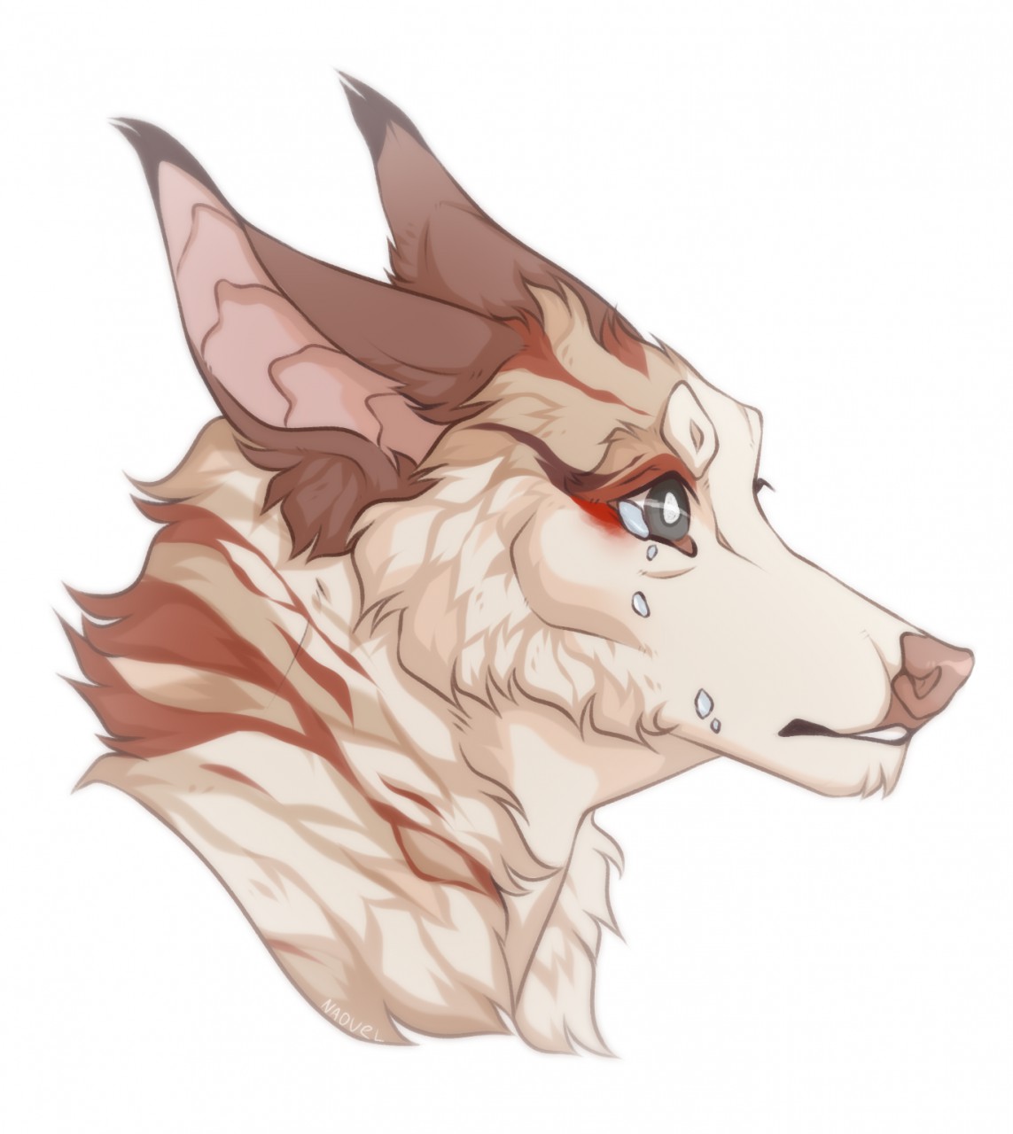 Featured image of post The Best 21 Wolf Headshot Art