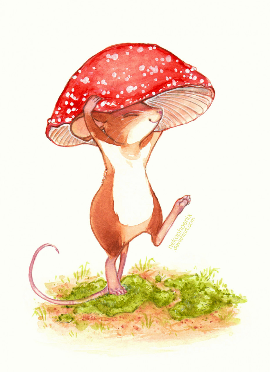 field mouse drawing