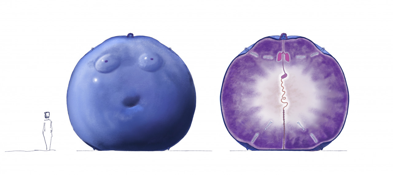 Lets Start, blueberry Inflation, juicing, Expansion, inflation