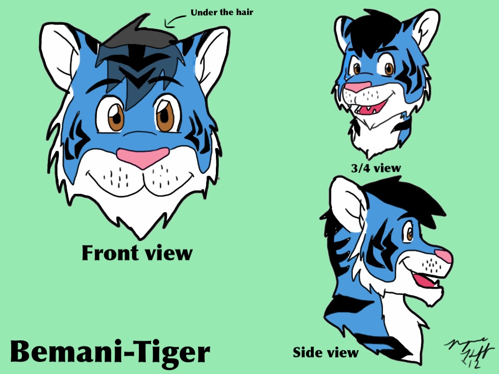 tiger face side view cartoon
