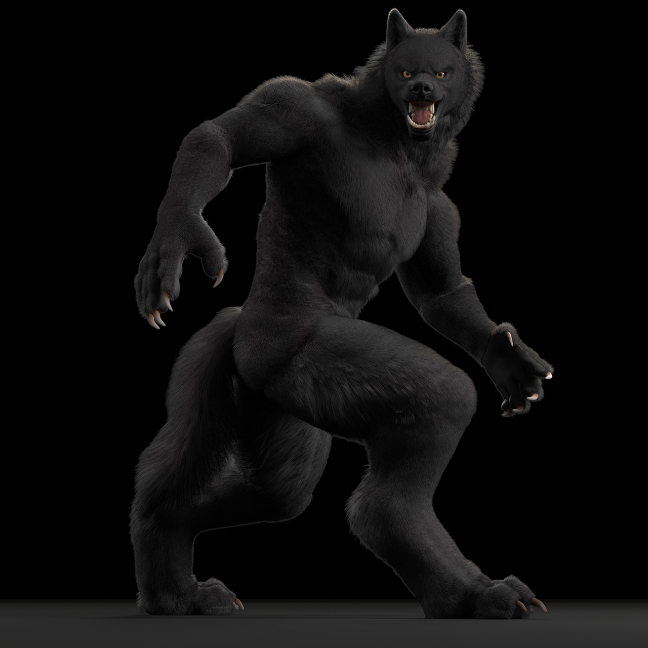 General Furry Art. werewolf. 