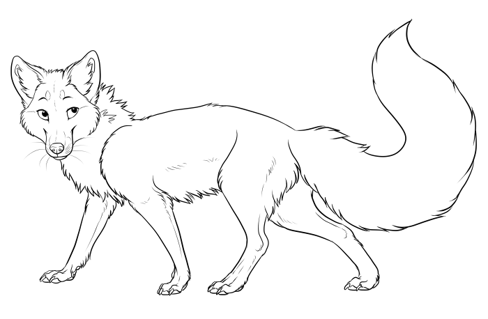 red fox lineart