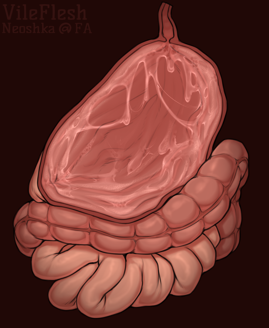 real internal stomach