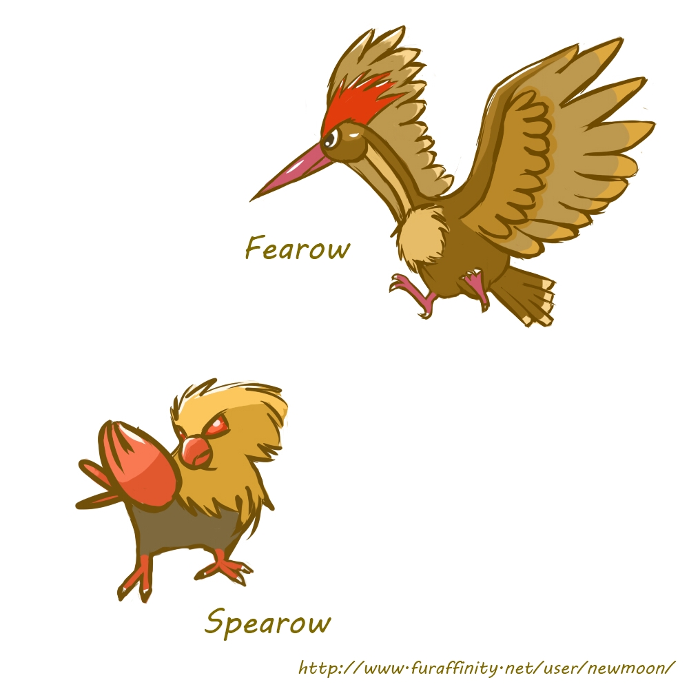 spearow evolution chart