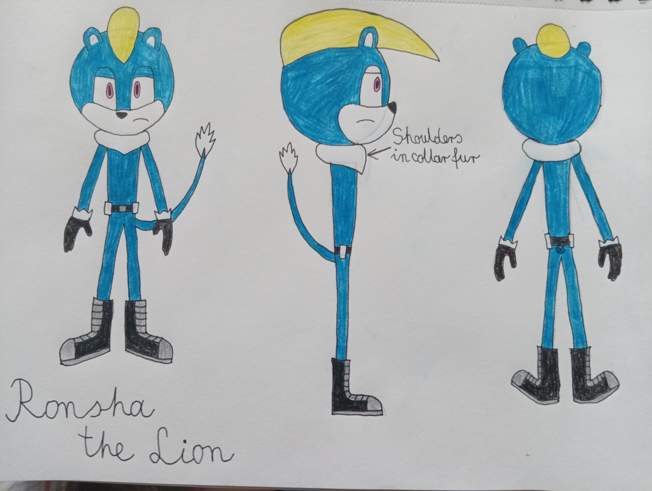 Ronsha The Lion - Ref Sheet