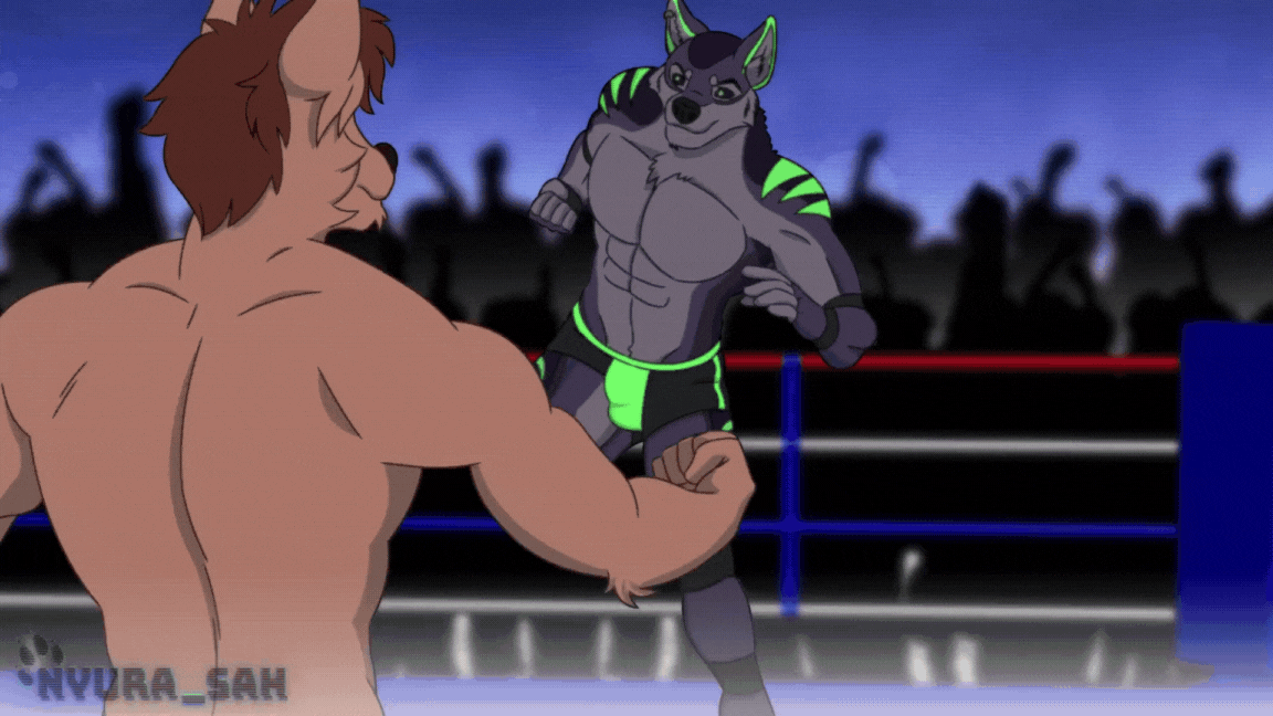 Wolf Boxer GIF - Wolf Boxer - Discover & Share GIFs