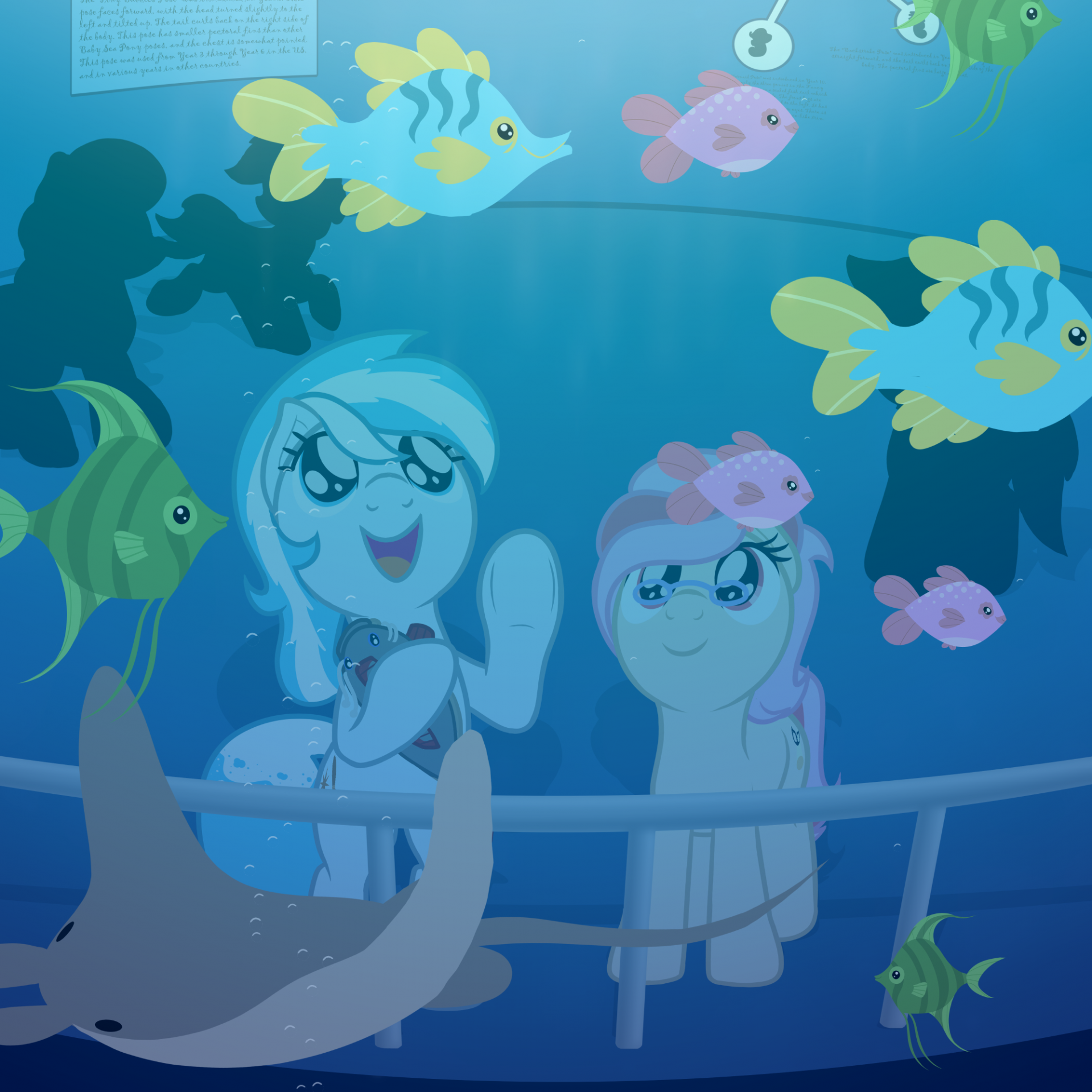 My little store pony aquarium