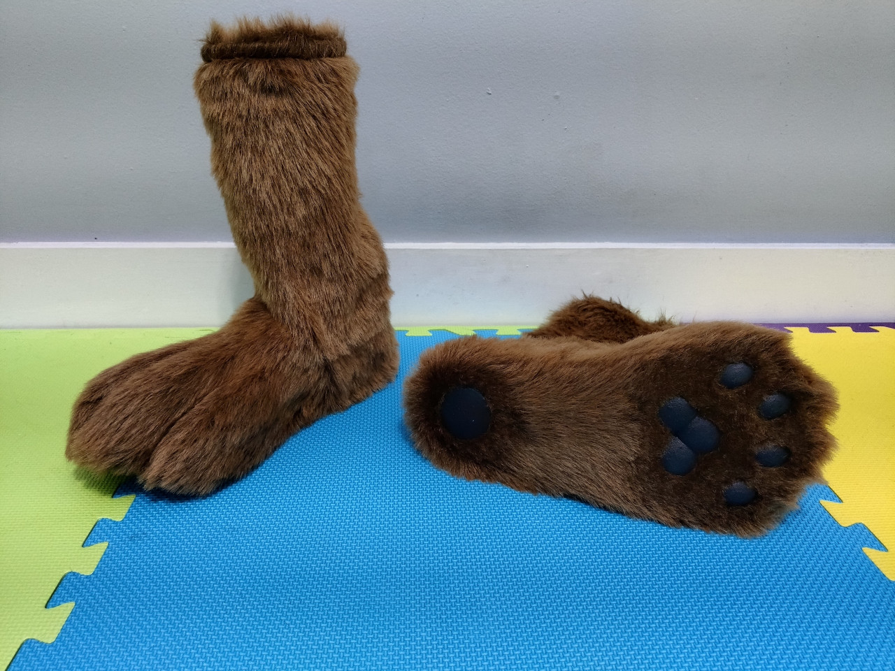 indoor feet paws