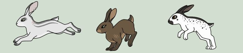 Rabbit Run - Animation by NoireNambu -- Fur Affinity [dot] net