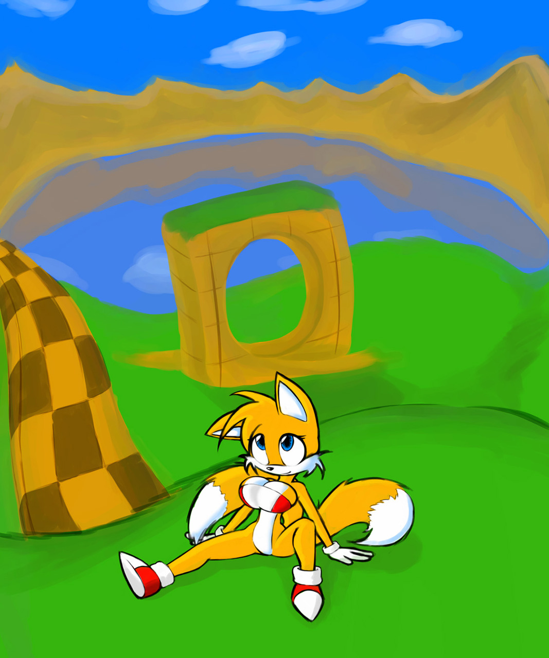 Rule tails. Тейлз r34. Tailsko x Tails. Tailsko x Sonic. Тейлз 63.