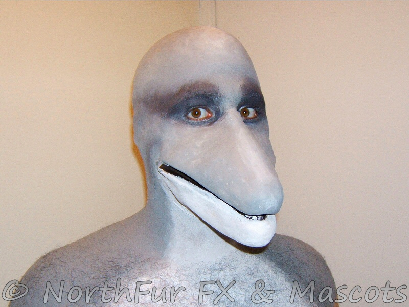 Dolphin Makeup Saubhaya Makeup