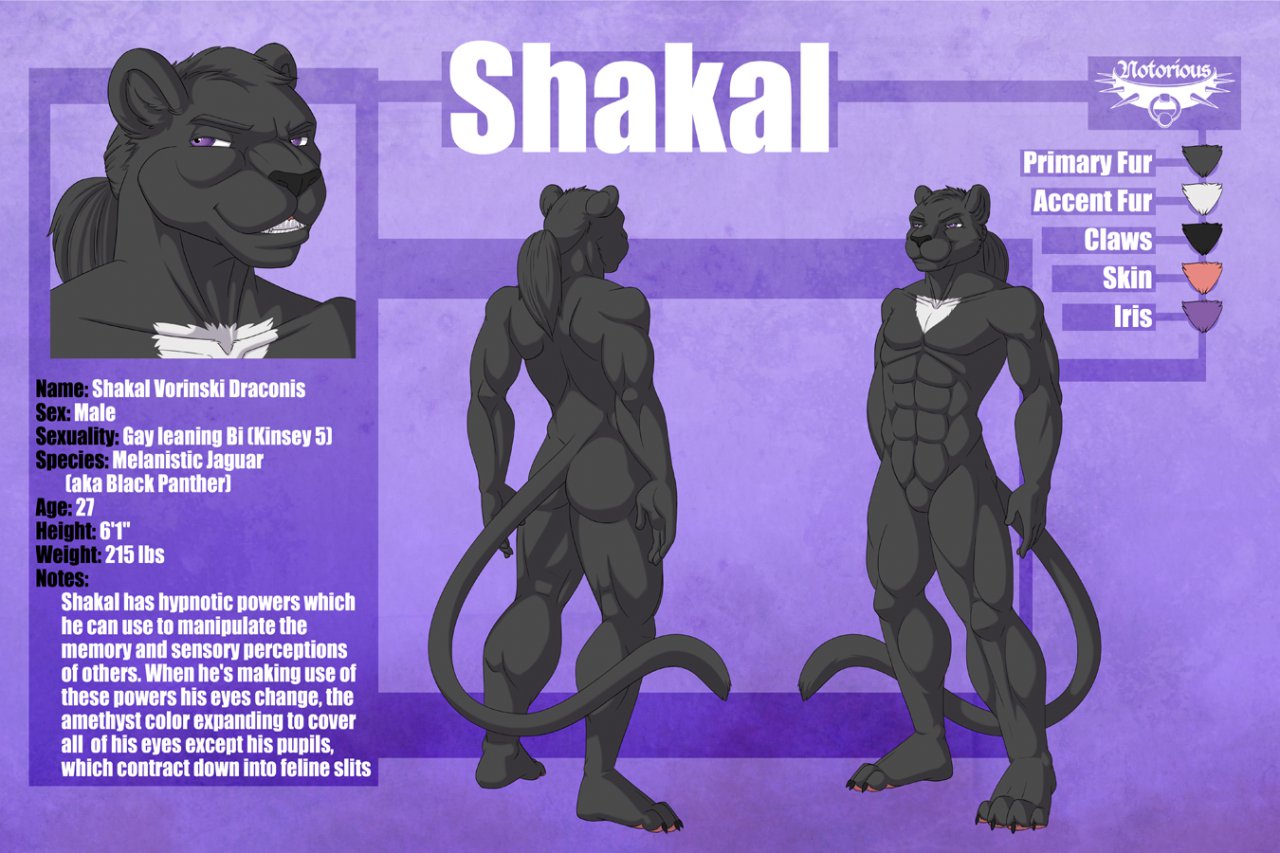 Com Shakal Reference Sheet Censored By Notorious84 Fur Affinity Dot Net Shakal, koyot, shakal, koyot png. com shakal reference sheet censored