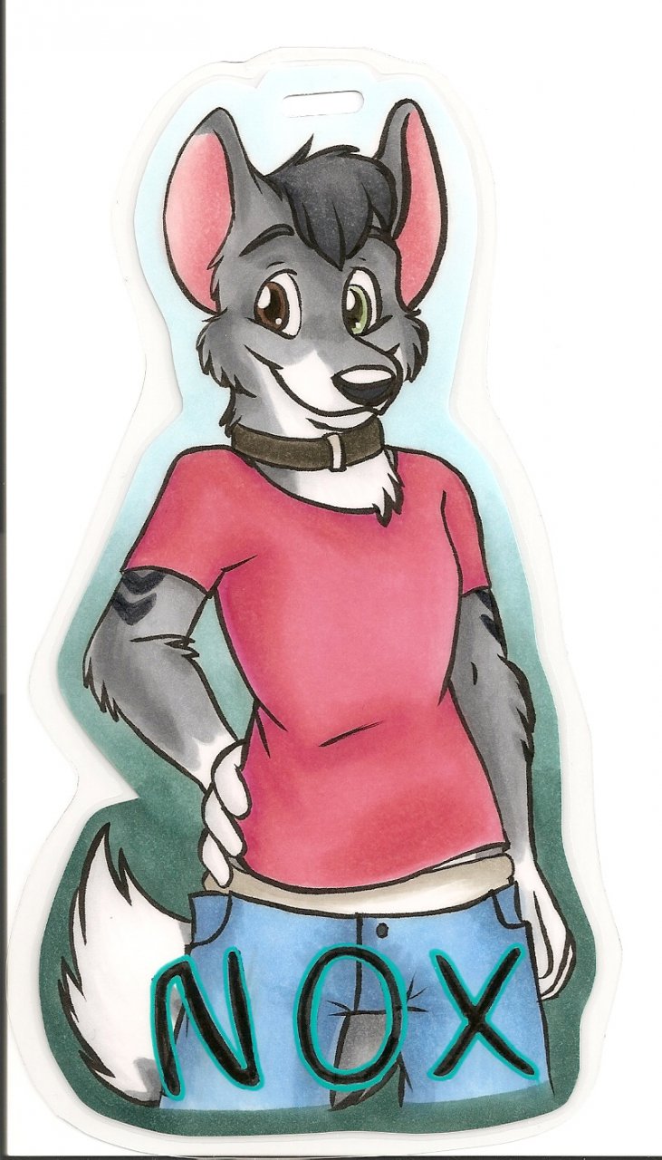 Nox mitsu Badge form Furfright 09