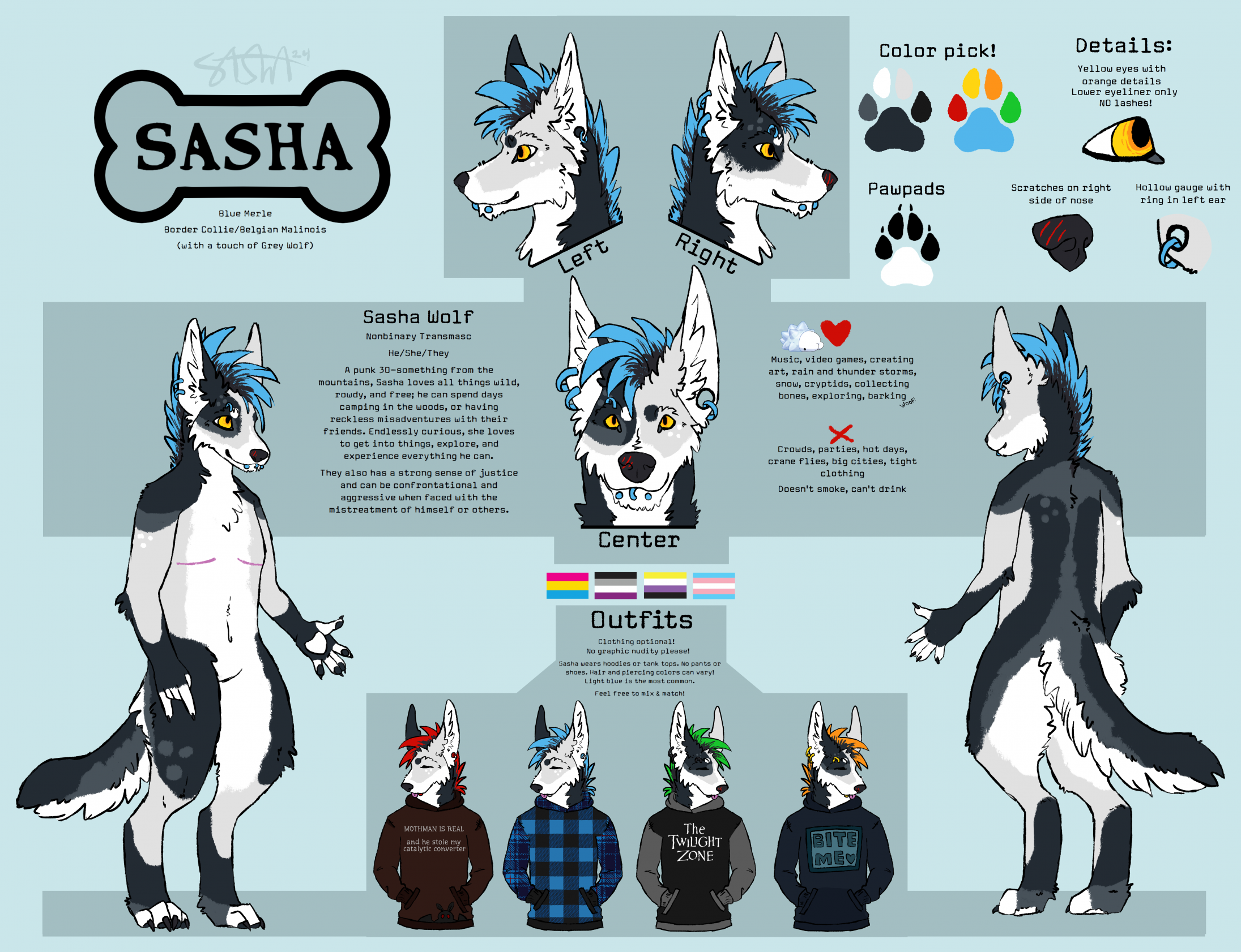 "Sasha" Fursona Refsheet