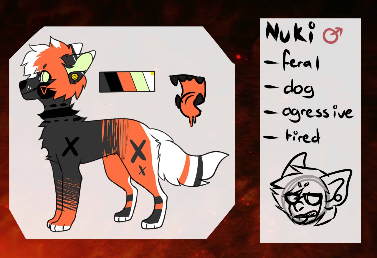 Nuki reference sheet ::. by Nukiyato -- Fur Affinity [dot] net