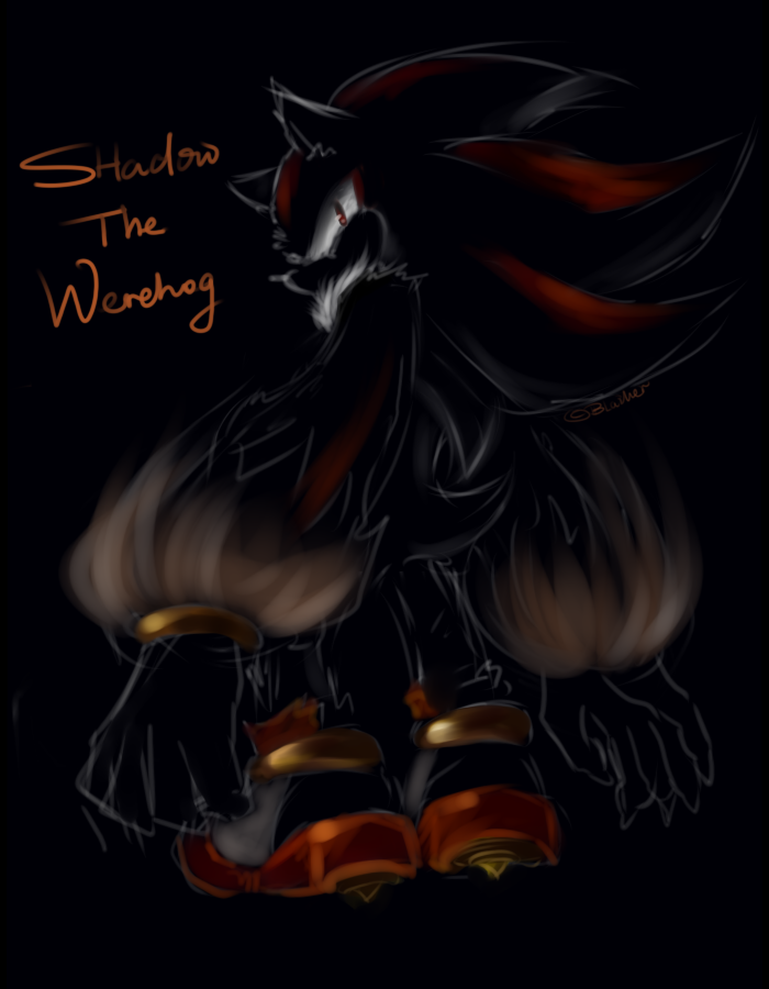 Shadow The Werehog