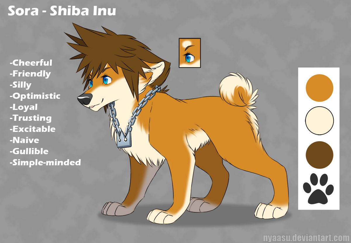 Shiba Sora Reference Sheet By Nyaasu Fur Affinity Dot Net