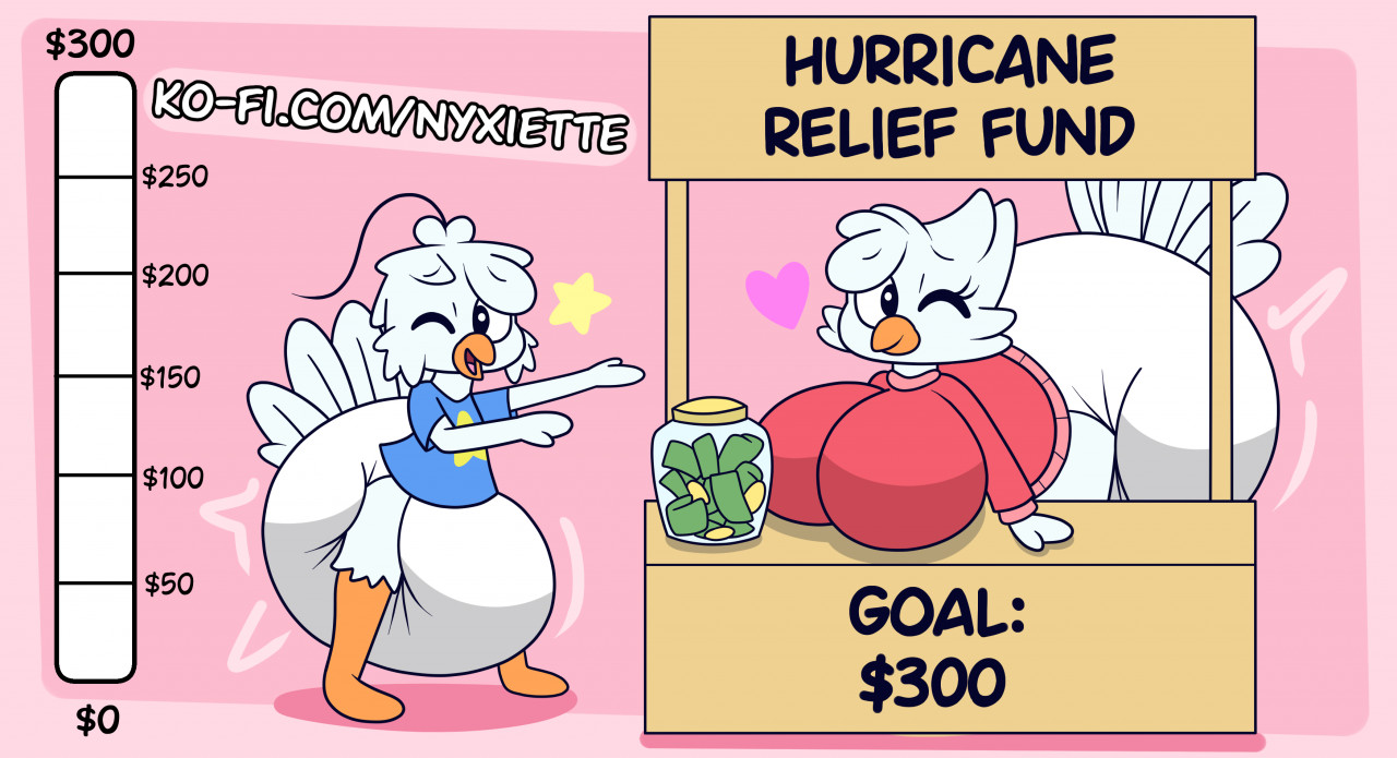 Nyx's Hurricane Relief Fund