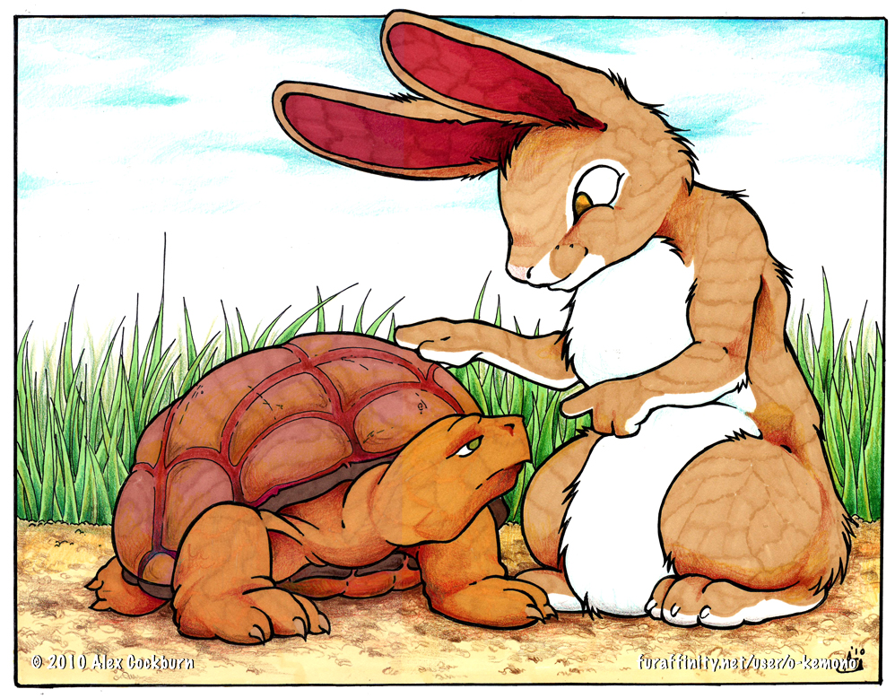 tortoise and the hare coloring pages