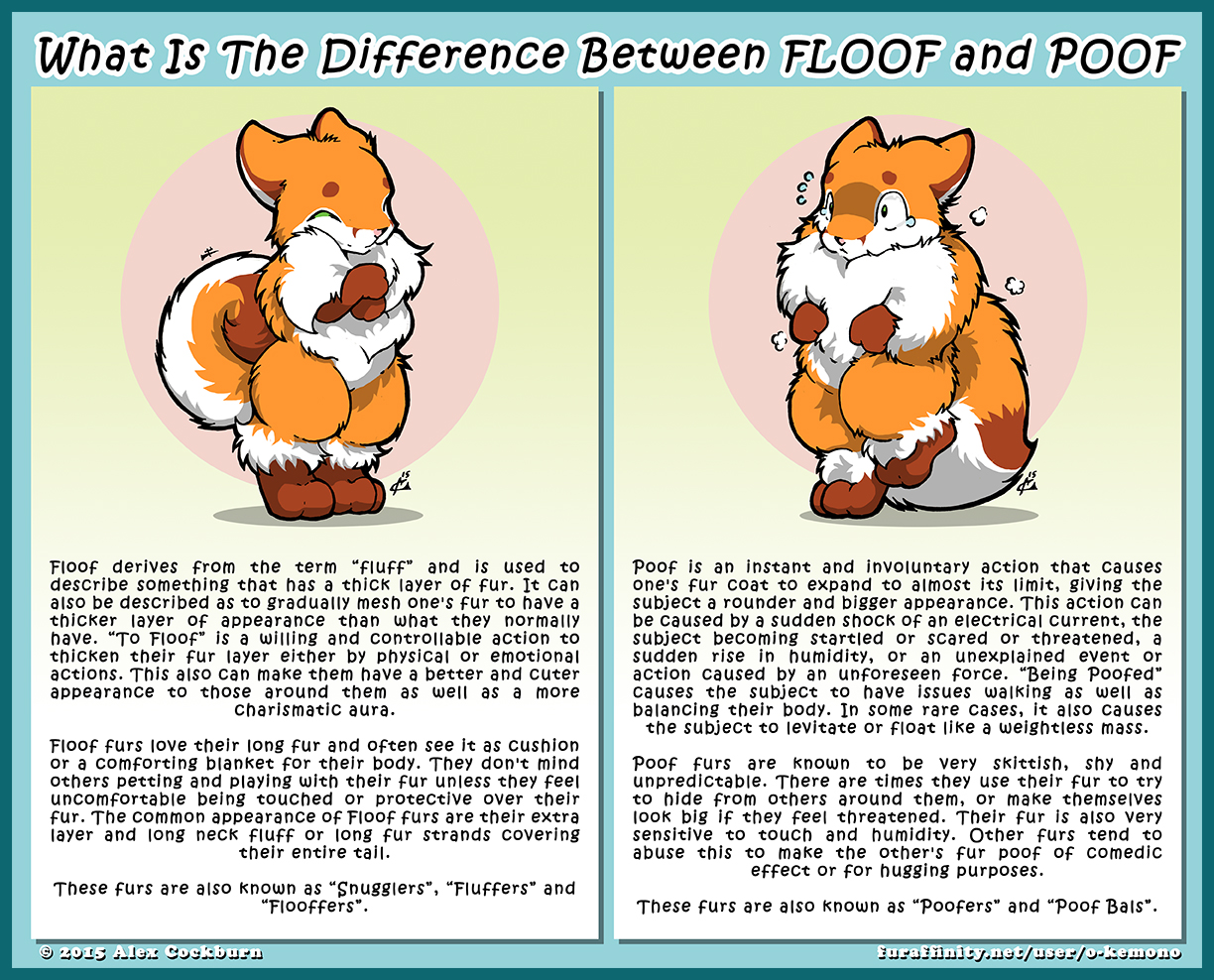 Difference between Floof and Poof by o-kemono -- Fur Affinity [dot