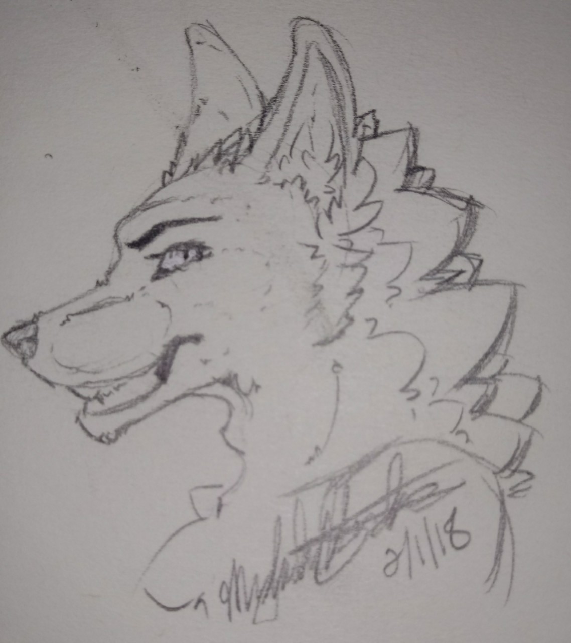 Featured image of post View 27 Wolf Headshot Drawing