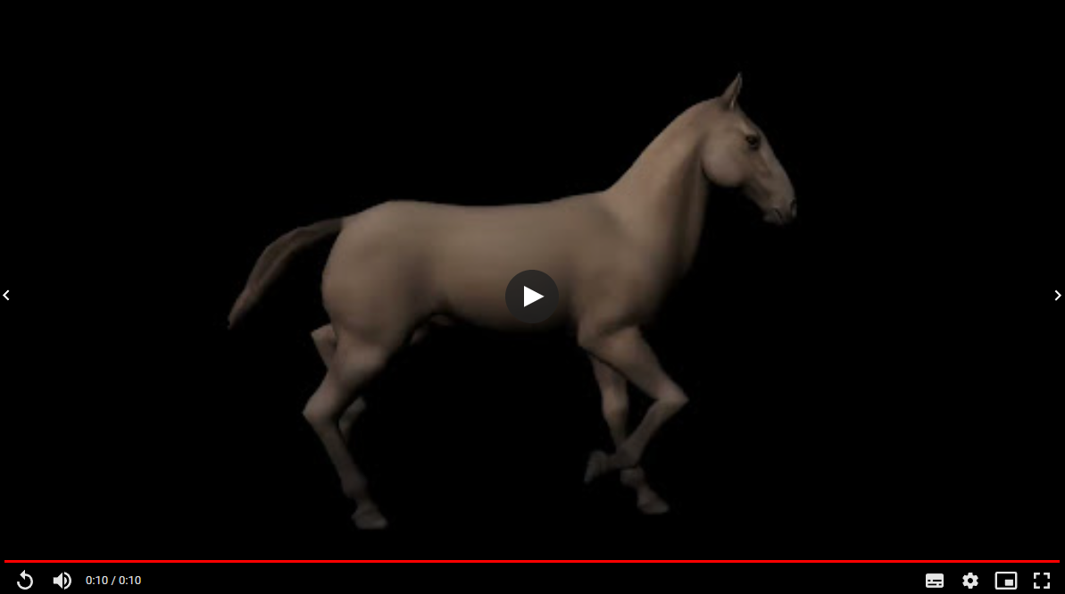 Horse Animation - Old Uni Work - Link in Description by Ocean_jewel -- Fur  Affinity [dot] net