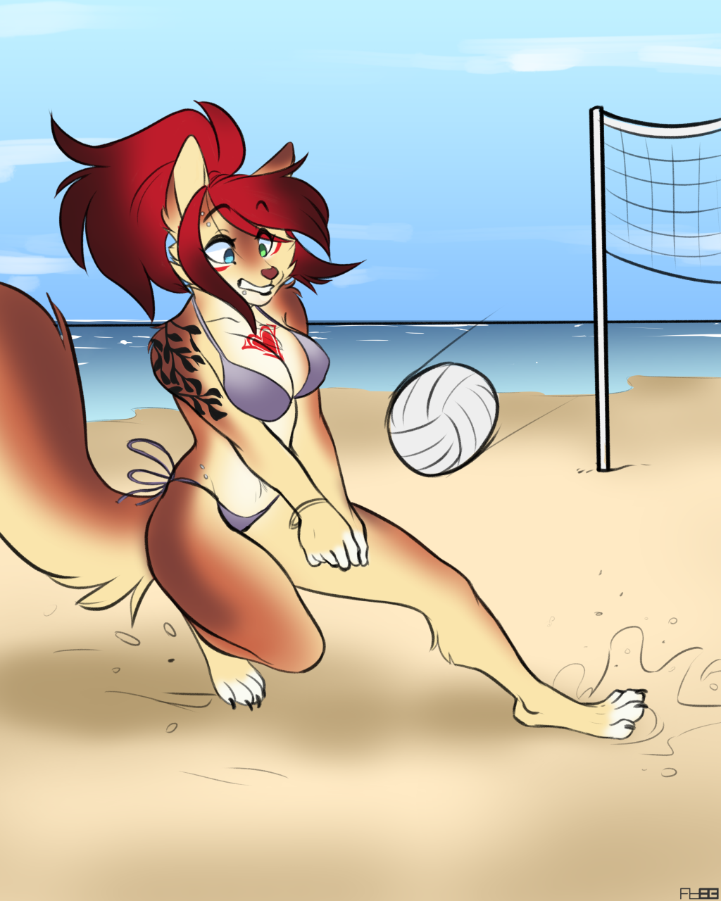 Volleyball Game [FoxBoy83]