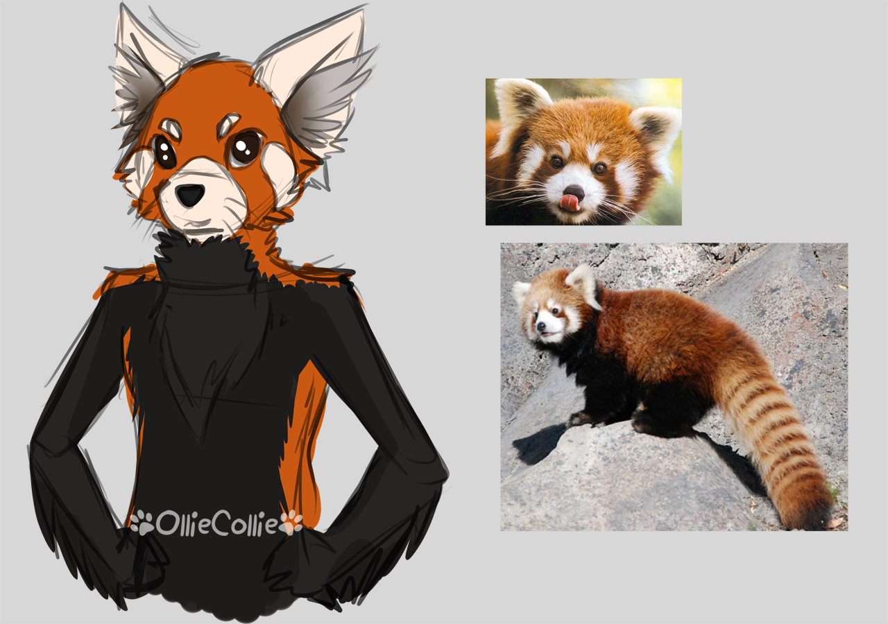 Red panda anthro