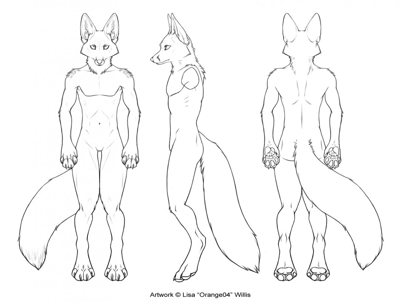 3-View Character Sheet - Male Fox. 