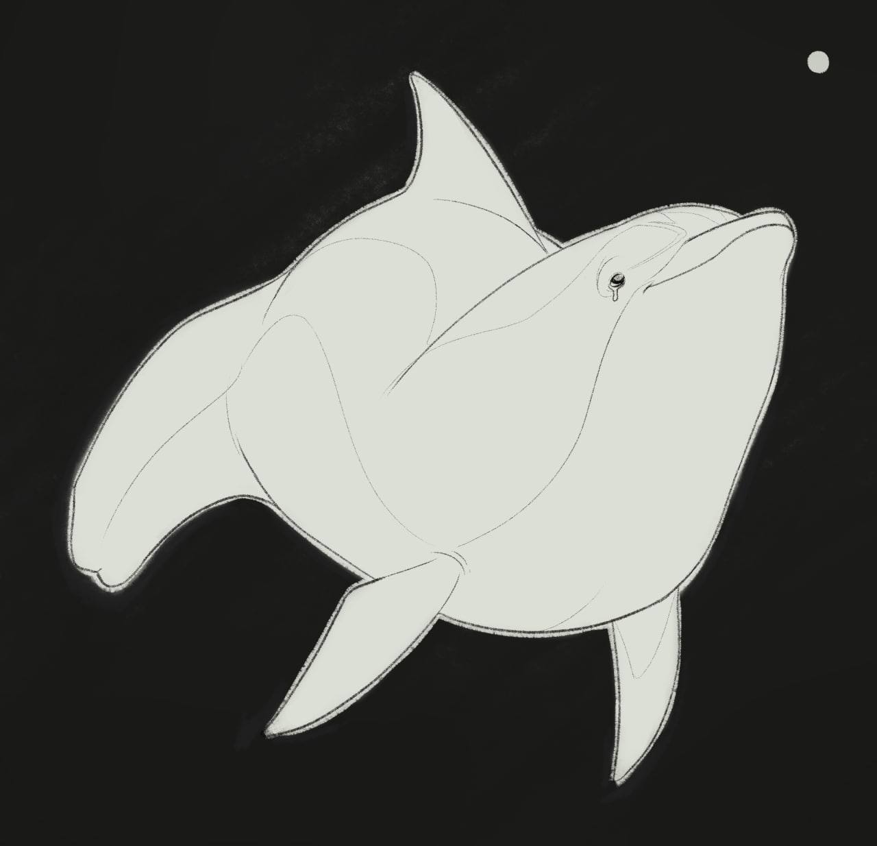 Art Blog — black whale leopika dynamic [ID: digital 2 panel