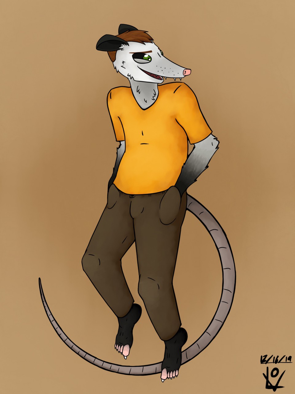 Fursona: Joe Possum