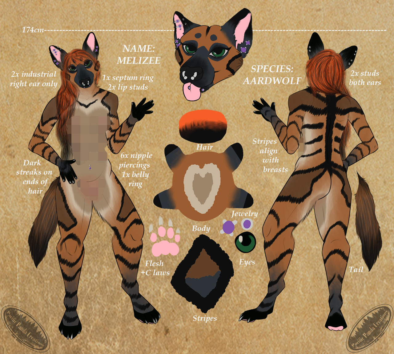 Aardwolf Ref Sheet -SFW by PacificPandaCreations -- Fur Affinity [dot] net