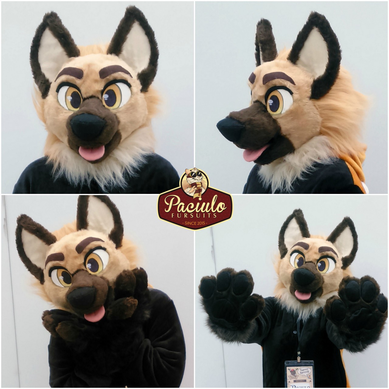 German Shepherd Head + Paws by PaciuloFursuits -- Fur Affinity [dot] net