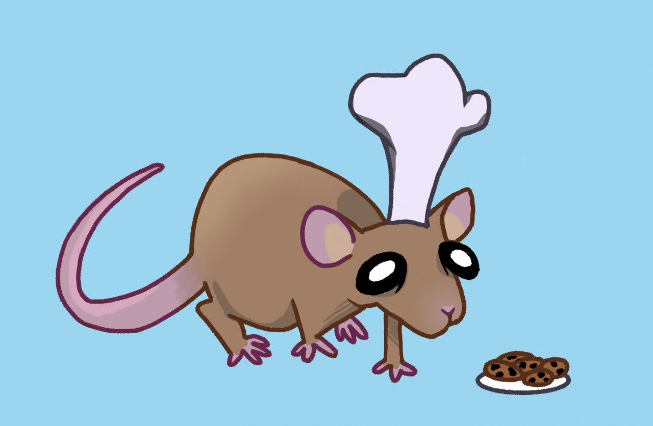 Rat Drawing PNG Transparent Images Free Download | Vector Files | Pngtree