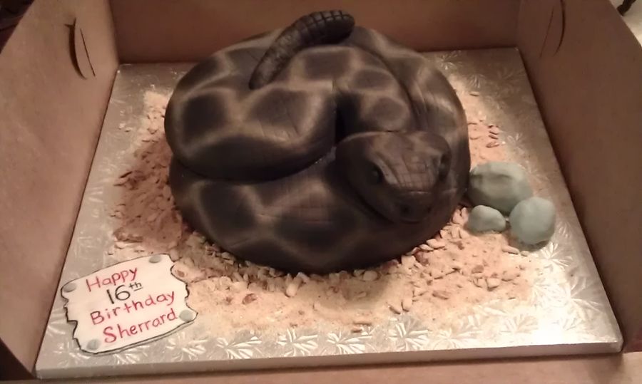 Snake in the grass (birthday cake) - NZ Herald
