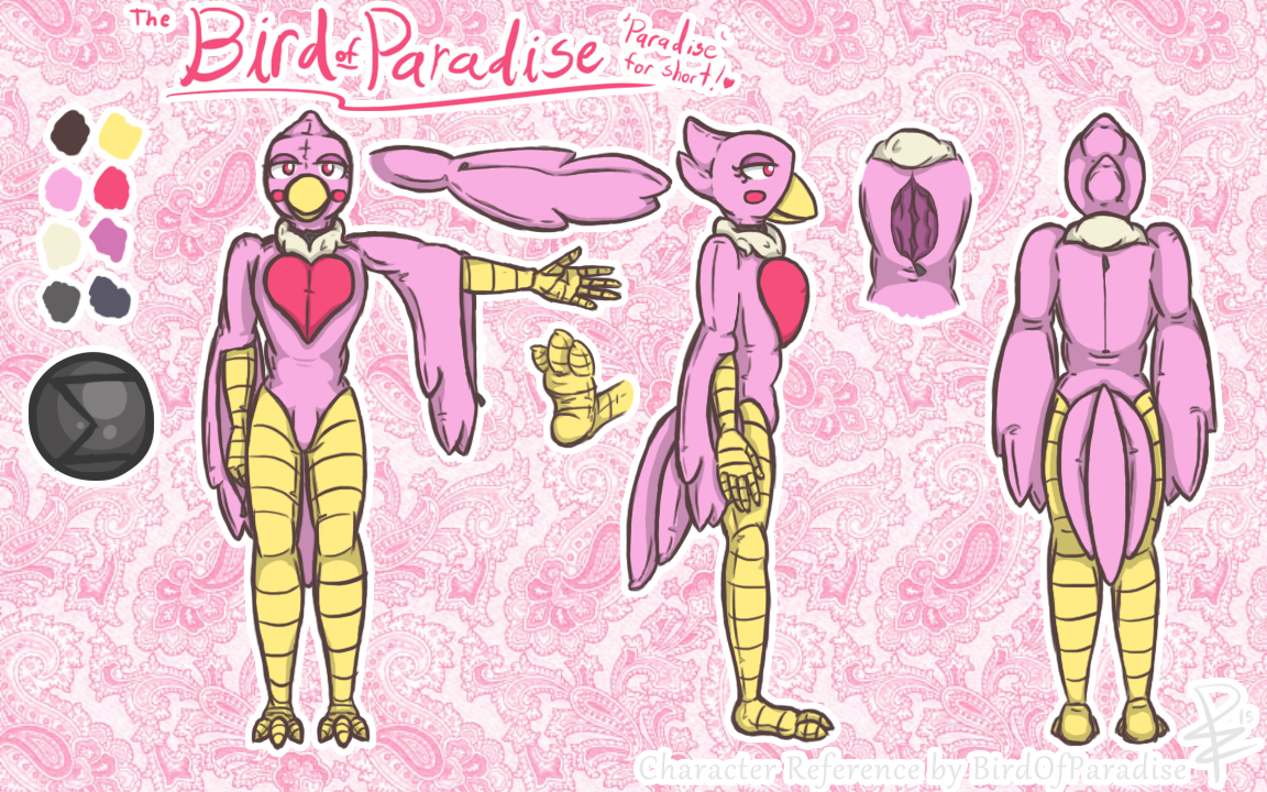 paradisebird net 