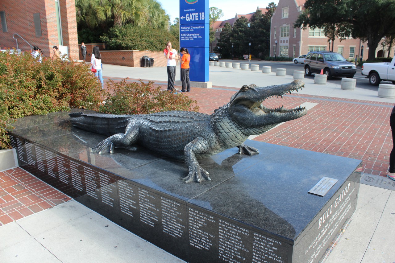 Bull Gator by Pat-Patriksson -- Fur Affinity [dot] net