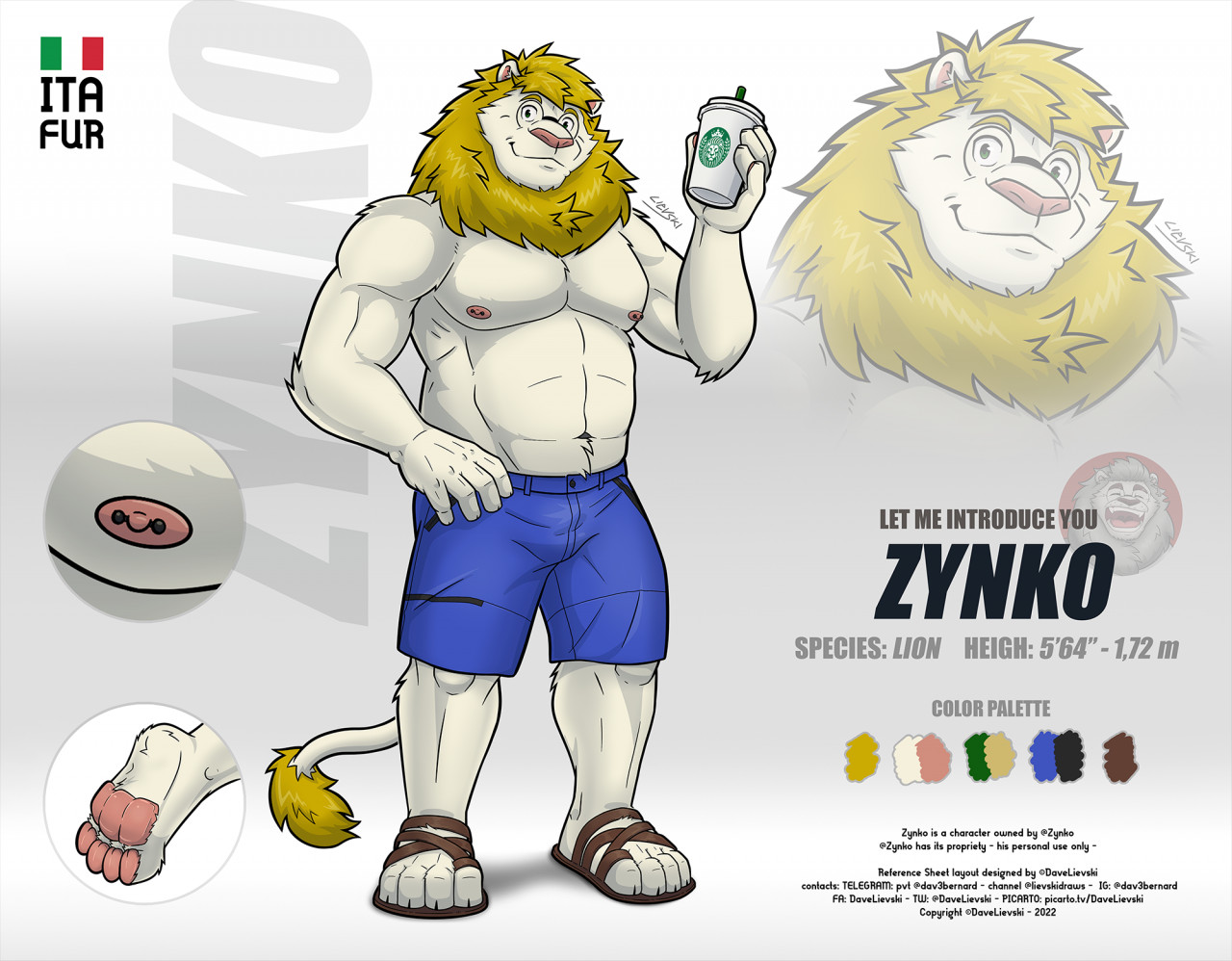 Zynko - Reference sheet