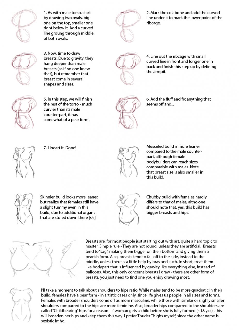 Drawing Tutorial : How to Draw Breasts ?