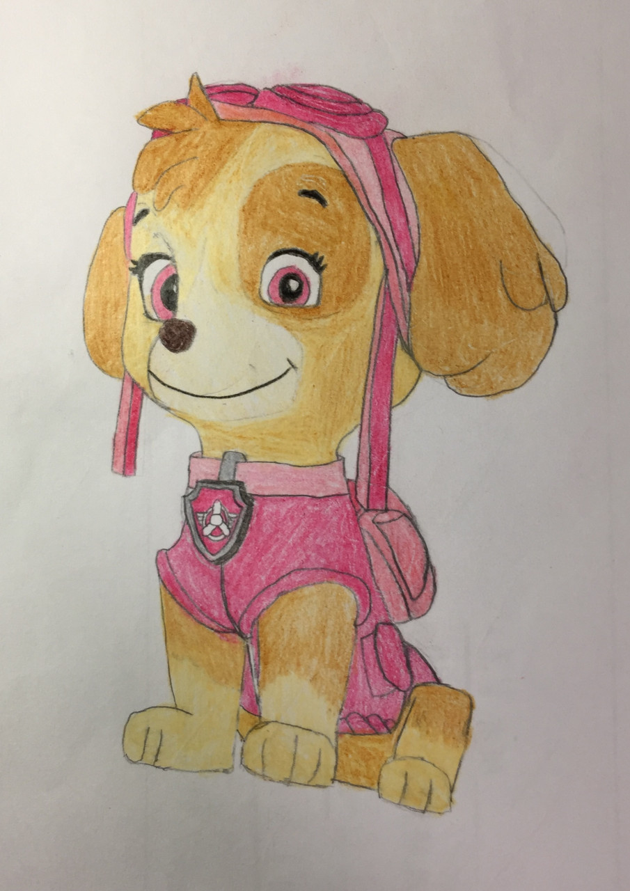 Learn How to Draw Skye, the PAW Patrol's Air Rescue Pup