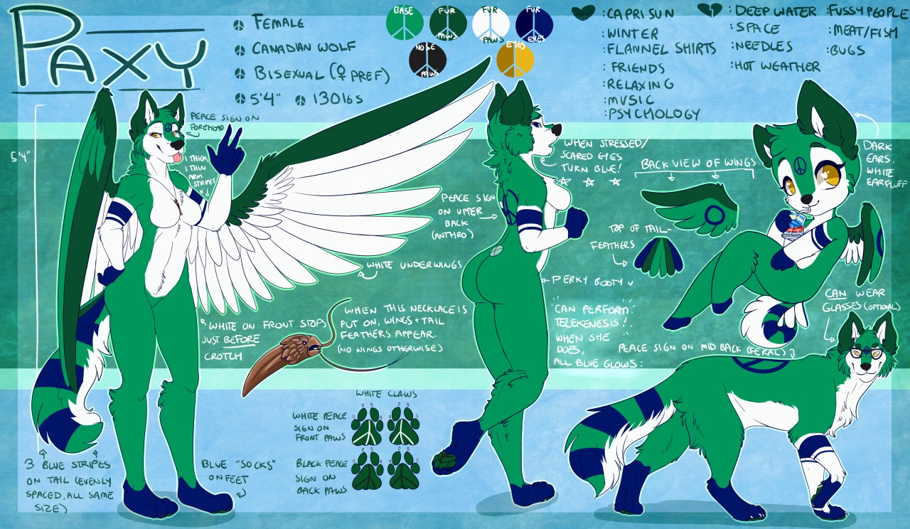 Paxy ref sheet by Paxy -- Fur Affinity [dot] net