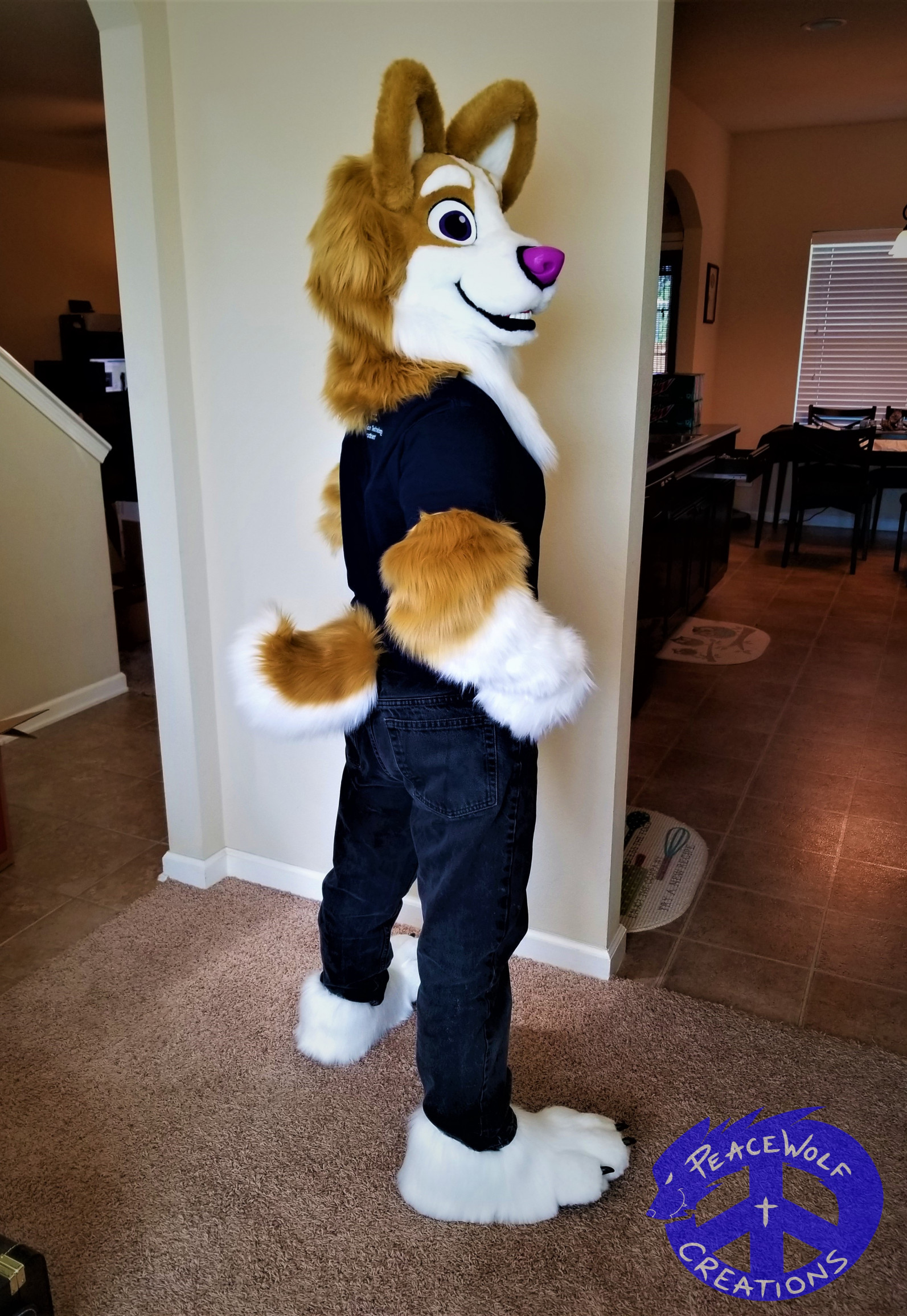 Fursuit- Corgi feetpaws newest