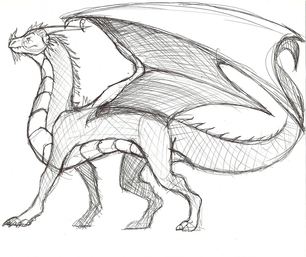 Dragon (Pen Sketch) by philip91 -- Fur Affinity [dot] net