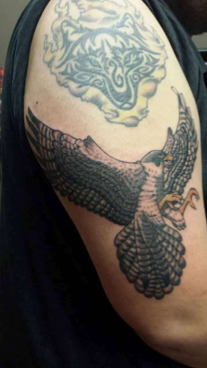 Infamous Tattoo Company : Tattoos : Nature : Falcon perched on a skull