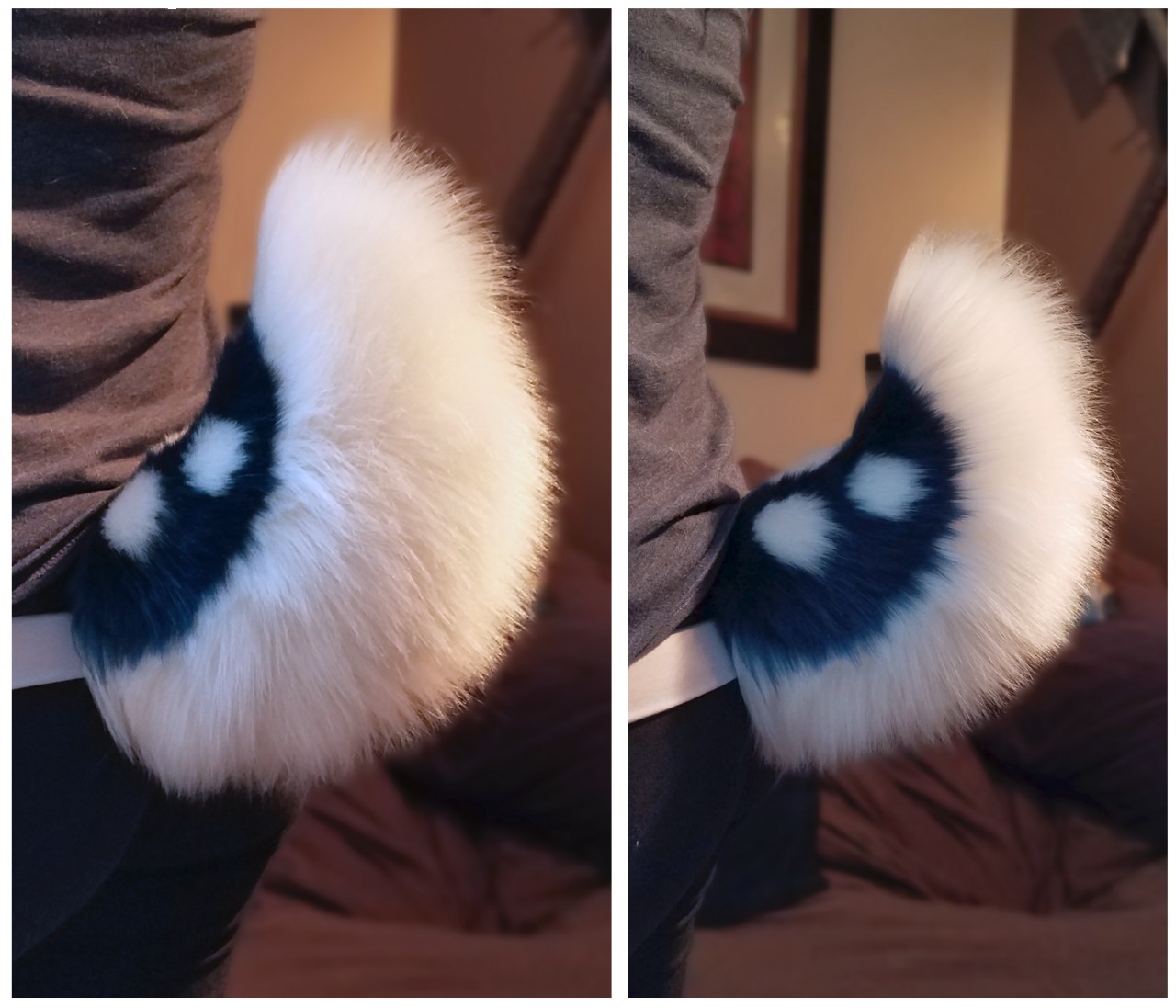 Little black bumps in furr by tail : r/DogAdvice