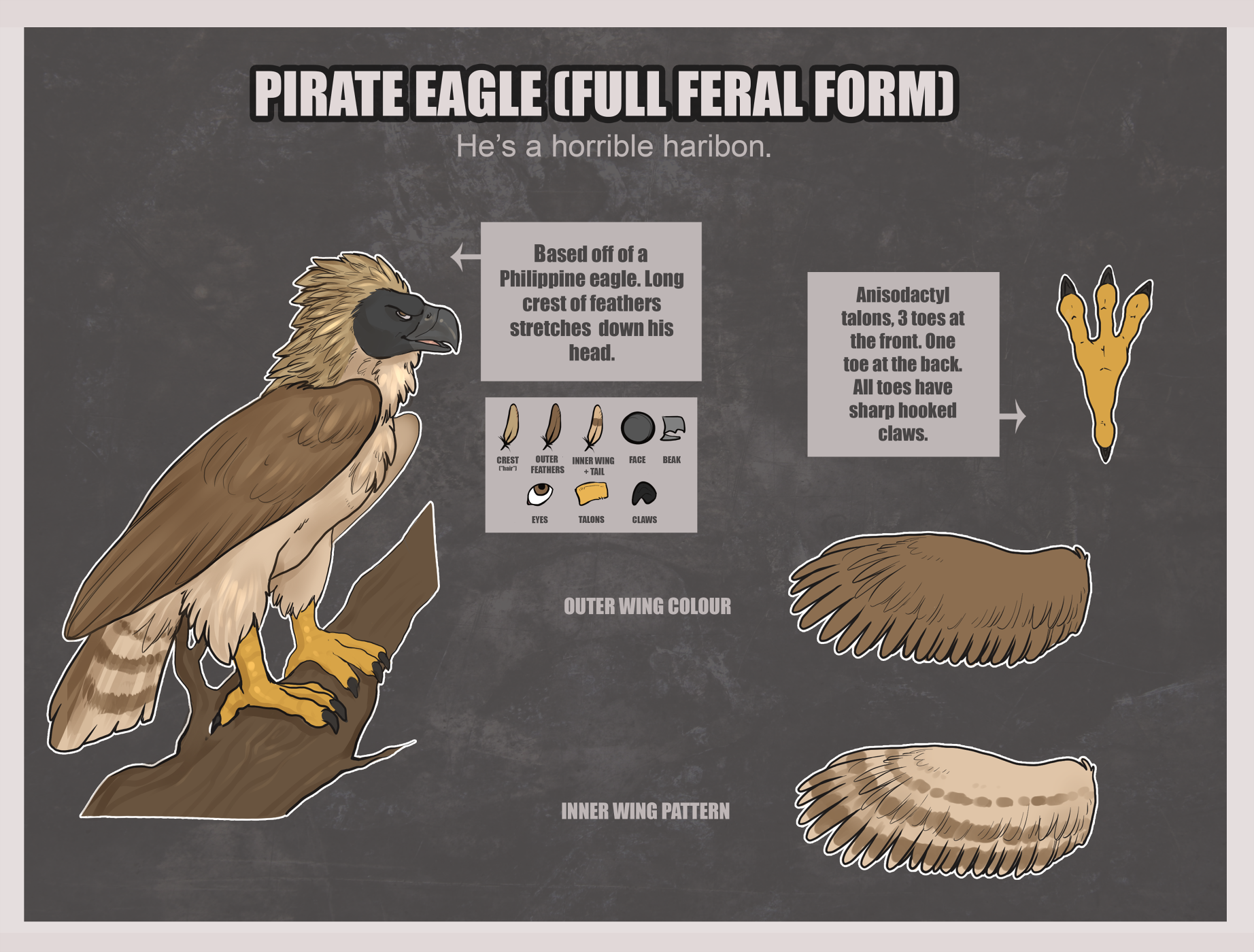 Pirate Eagle: Full Feral Avian Form Ref (SFW Version) by