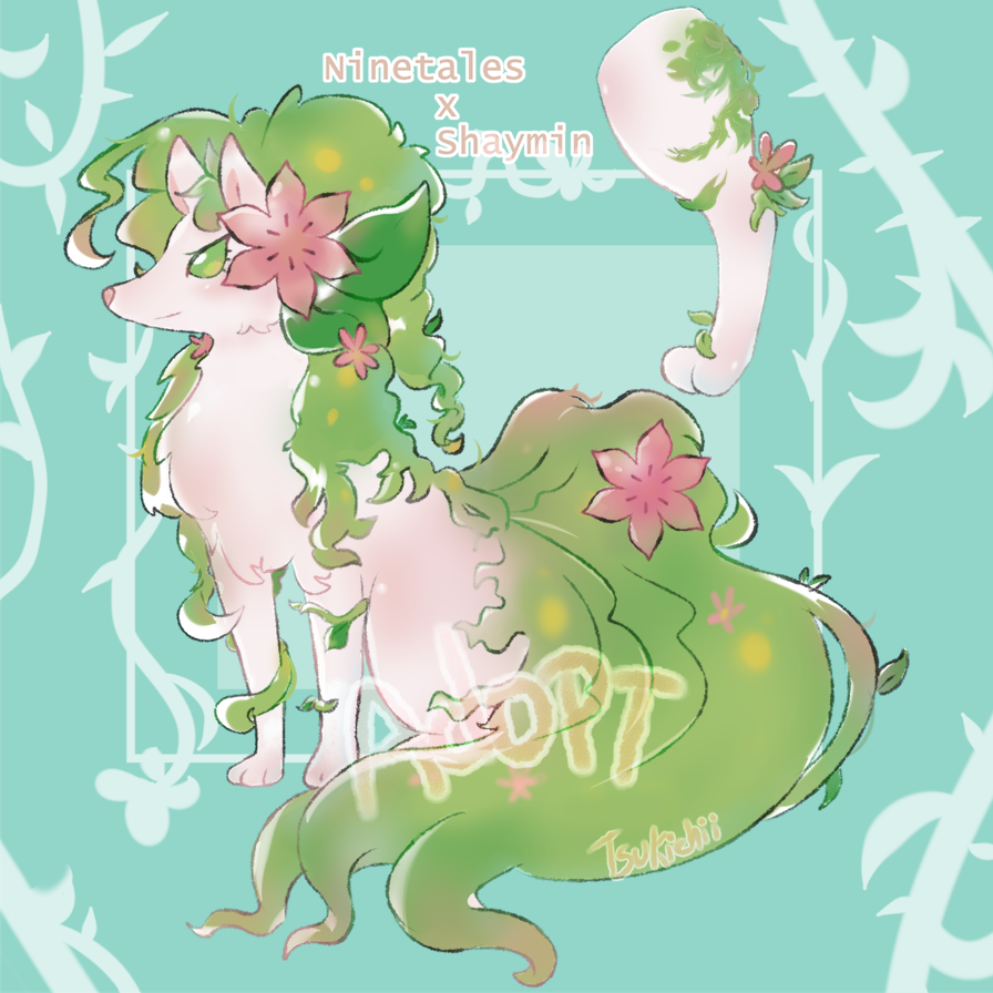 Pastel Shaymin, Pokecentral Network